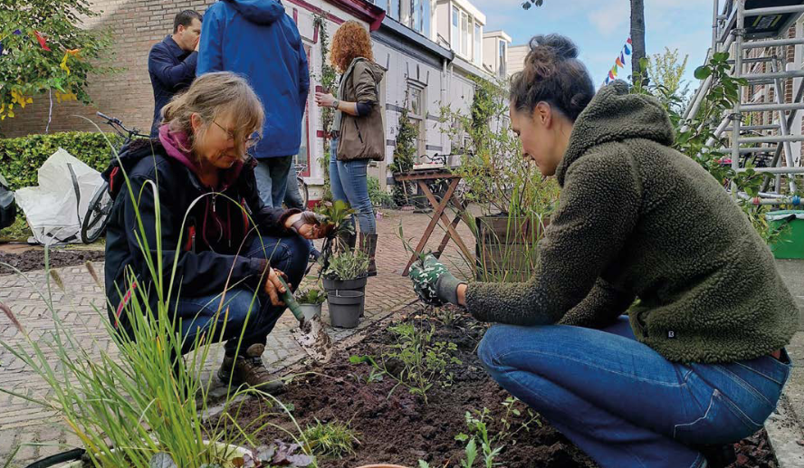 Bewoners werken samen aan een groen initiatief in Zwolle