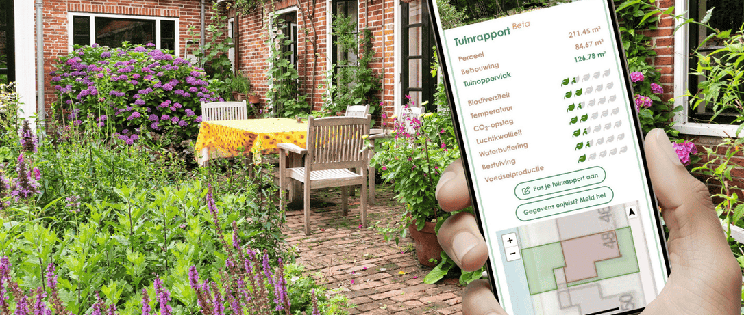 Groene tuin met verschillende planten en bloemen